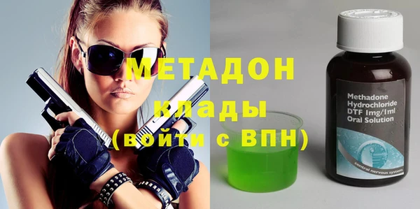 прущие грибы Аркадак