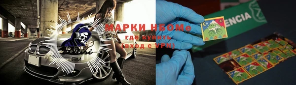 прущие грибы Аркадак