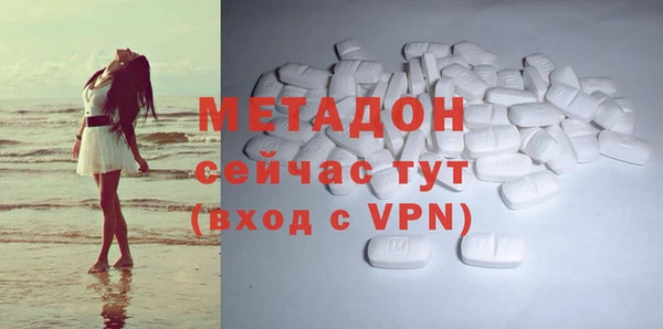 прущие грибы Аркадак