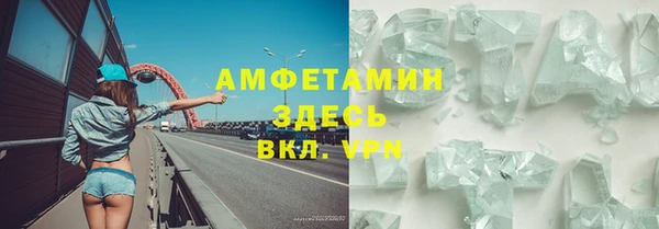 прущие грибы Аркадак