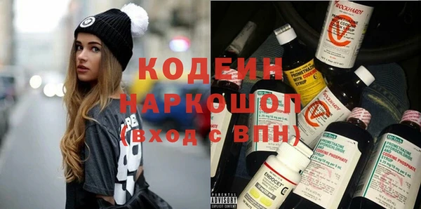 прущие грибы Аркадак