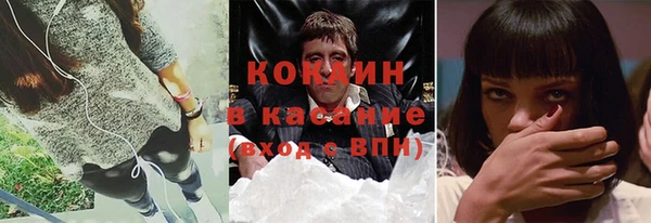 прущие грибы Аркадак
