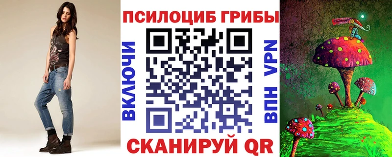 Псилоцибиновые грибы GOLDEN TEACHER  продажа наркотиков  Инза 